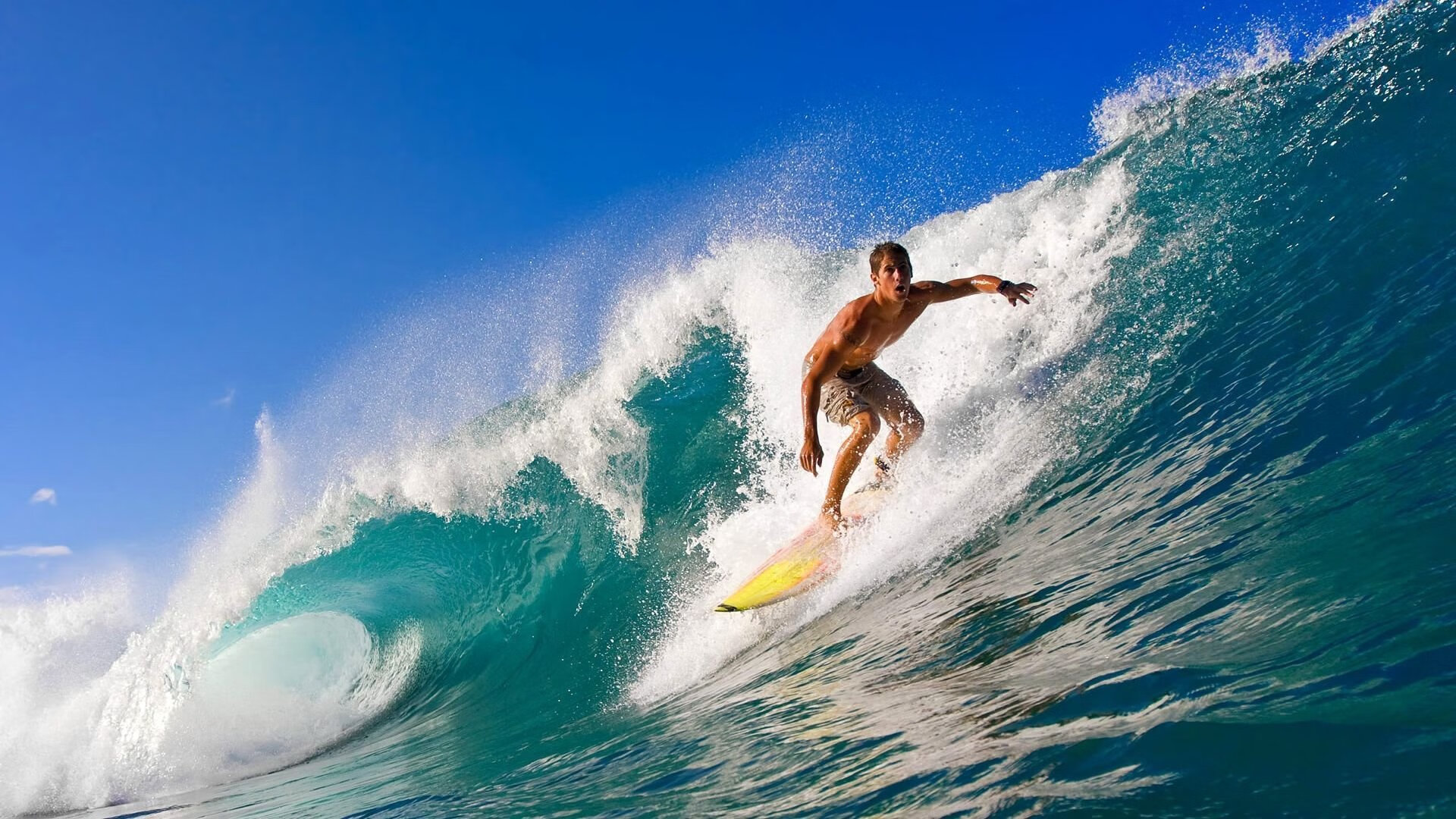 全国青少年巴西柔术锦标赛精彩纷呈,巴西柔术少年组